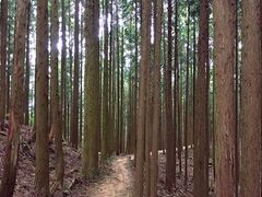 񂿂񂳂̃||Rւ̓eʐ^1