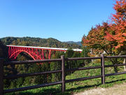 NXElEr̉o_낿[v̓eʐ^1