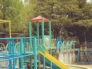 񂿂񂳂̏̒r̓eʐ^1