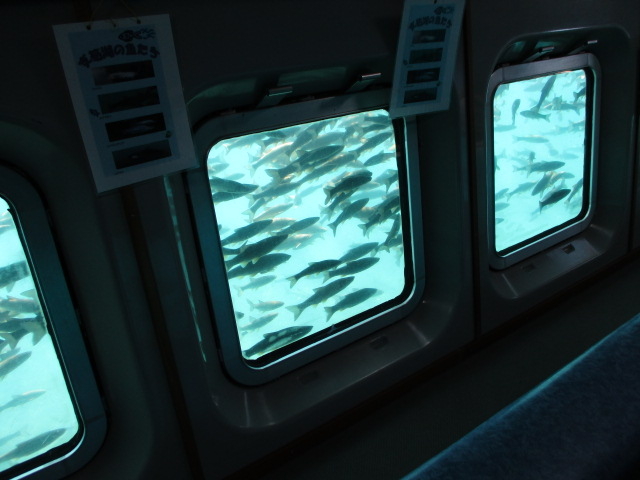 �ΐ��ɂ́A���т����������̃E�O�C���I_�x┌Ίό��D