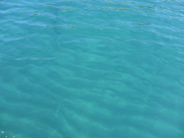 ���̌ΐ��̐��́A�D���炶��Ȃ��ƌ����Ȃ��H_�x┌Ίό��D