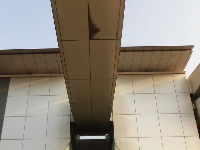 �D_�a�̎R�����ߑ���p��