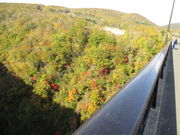 yosshy̐Voʑ勴̓eʐ^1