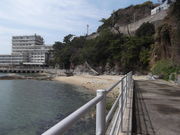 vmisf̐VẩYC݂̓eʐ^1