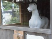 ڂ肳̎hcÐ_Ђ̓eʐ^5