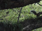 ڂ肳̎hcÐ_Ђ̓eʐ^6