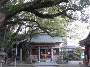 ڂ肳̎hcÐ_Ђ̓eʐ^7