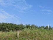 낿񂳂̂͂܂Ȃ̋uiW]j̓eʐ^1