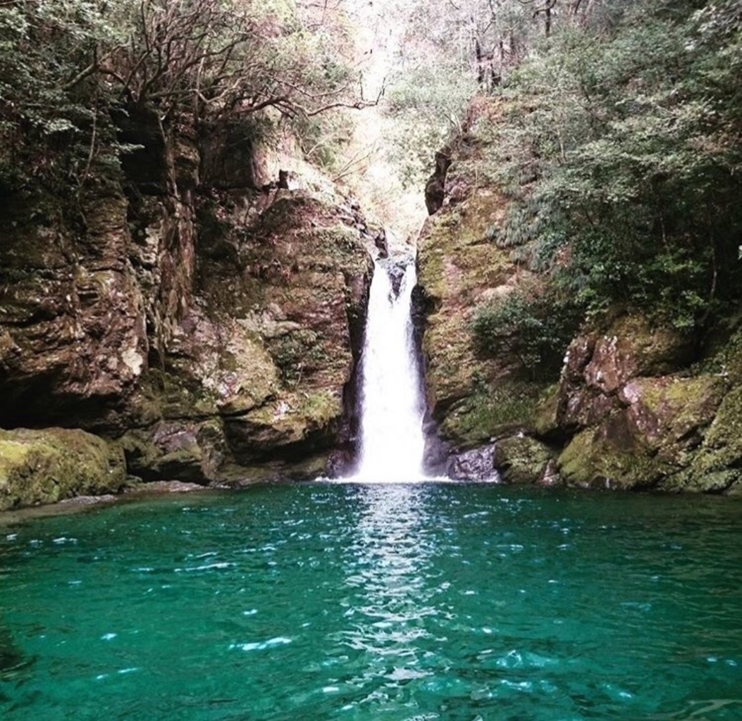 土佐市の観光施設・名所巡りランキングTOP10 - じゃらんnet