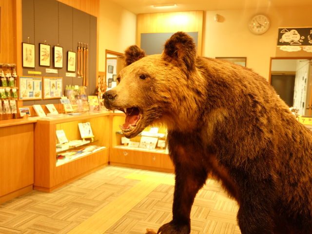 �����ɂ��锍���̂���_�x┌΃r�W�^�[�Z���^�[