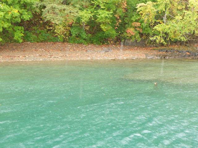 �D�̏ォ�猩���g�t_�x┌Ίό��D