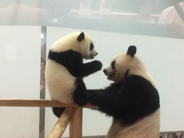 ���l�Ƃ��ꂳ��_�A�h�x���`���[�����h