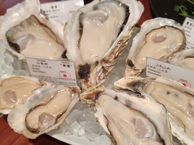 ܁[[I_}XR Marisco XpjbV&ICX^[