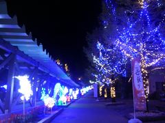 \E~T̓̉w@O㉤uĤ݂₱vւ̓eʐ^3