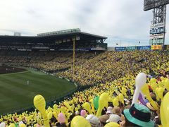 阪神タイガース 阪神甲子園球場 甲子園歴史館の口コミ じゃらんnet