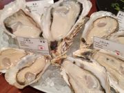 ̃}XR Marisco XpjbV&ICX^[̓eʐ^1