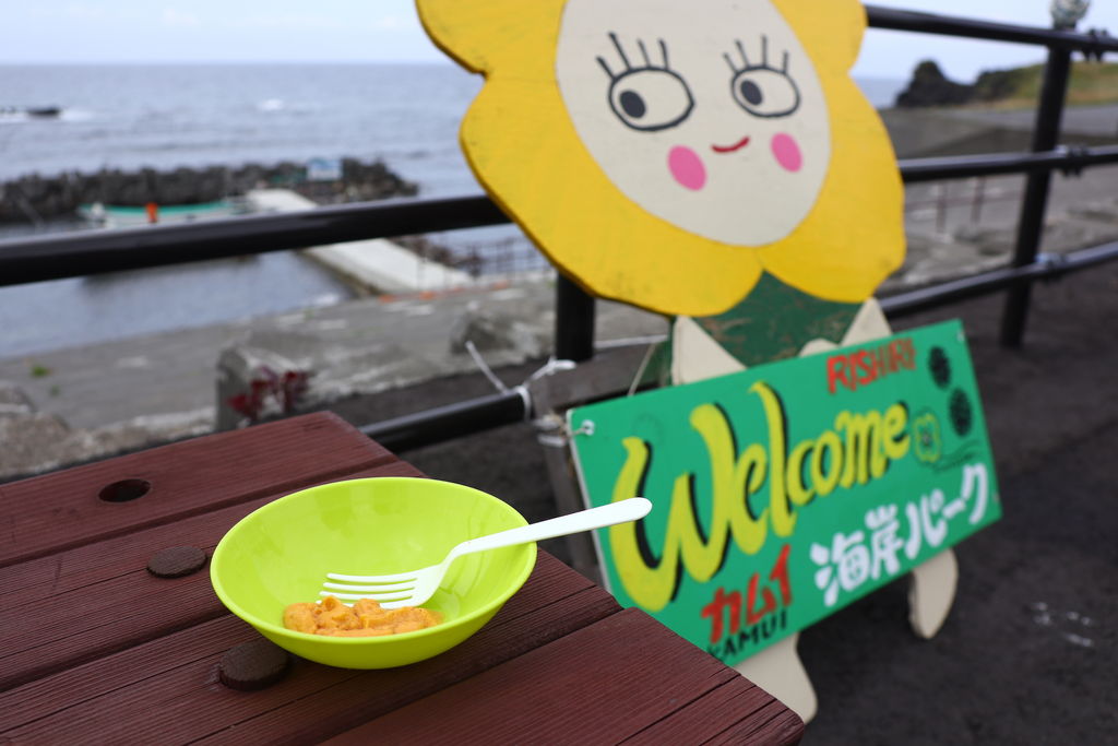 利尻町（利尻郡）のレジャー・体験ランキングTOP3 - じゃらんnet