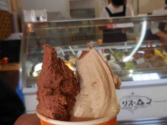 チョコチップとマロン_Rimo(旧店名 リスの森)