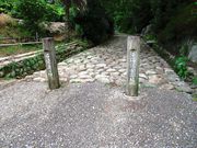 1962̋CJΏƒR[X̓eʐ^2