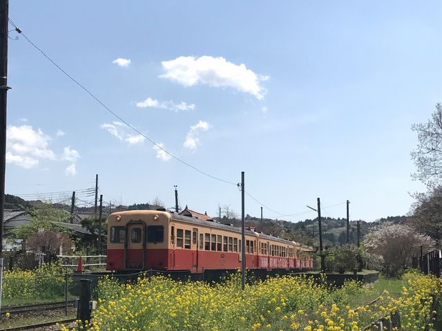 �����ݓS���`�㑍����w�`_�����ݓS��