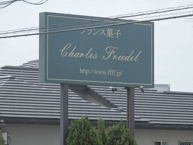 Charles Friedel̓eʐ^1