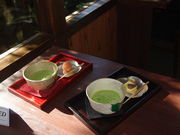 ^{剤ٍ̒H[낤 SX̓eʐ^1