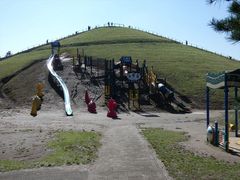 higekuma50̗ւ̓eʐ^1