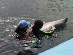 Ƃ񂳂̃htBxFCXւ̓eʐ^1