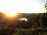 ЂƂ݂̋{Ή@y@ʓ@̓eʐ^1