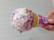 傳̃T[eBACXN[ CIaX̓eʐ^1