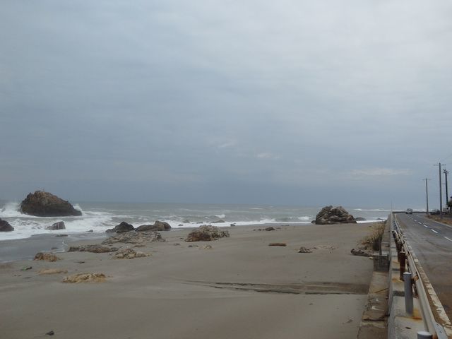 �₪���Ȃ������ɂ��A���΂���������Ă��܂��B_��F�̈�