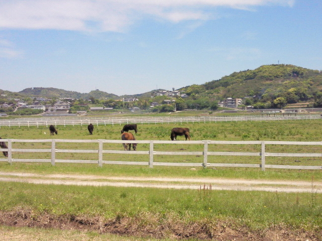 ���q�̔n_����ӂꂠ���q��