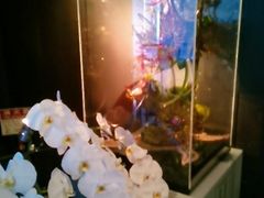 usa̒Ҍ[pقւ̓eʐ^1