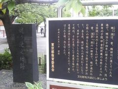 Ƃ񂳂̉WPrEZ̉̔ւ̓eʐ^1