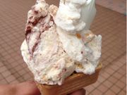 킩ԁ[̃WFeAPopolo̓eʐ^1