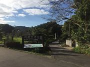 JOE����̐쌴��r�����̓��e�ʐ^1