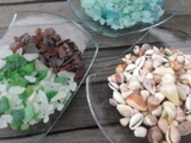 ����������_�u���`����v�ɓ����c�̃A�E�g�h�A�E���R�̌��ē���