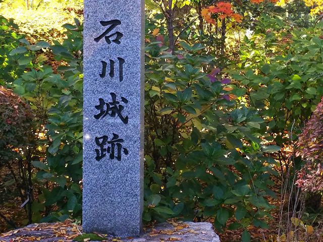 ��Վj��_�O������