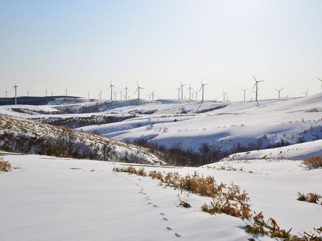 �ԓ��͒ʍs�~�߂ɂȂ�܂��B_�@�J�u�ˎ��X�͒n�`