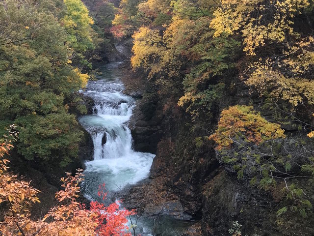 【希少】オイラー探検 : 無限大の滝と12連峰 NG042002.jpg?fit=1600,1241&ssl=1