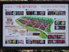 񂳂̂͂ڂoւ̓eʐ^1