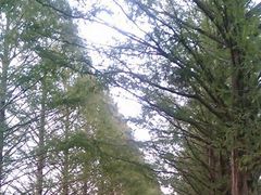 ˂܂邳̃^ZRCA؂ւ̓eʐ^1