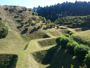 񂳂̍wjՎRՂ̓eʐ^1