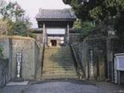 �䂤����̋ʐ򎛂̓��e�ʐ^1