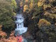 ZUNDAMさんの鳳鳴四十八滝の投稿写真1