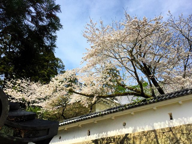 ����̎��鏊�ō炭��_�K����