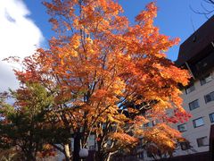 tam-tam̃^v^v̑ÃiE][gzeւ̓eʐ^1