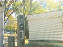 ���䂳��̓V�_���������ւ̓��e�ʐ^1