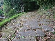 ÂȂ܂܂ɂ̗iiwjՁj̓eʐ^1