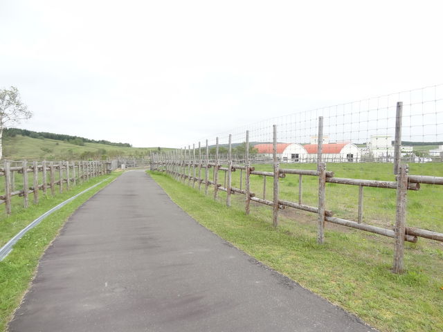 �����͍L��_�y�����g�i�J�C�ό��q��